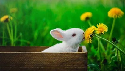 玛塔获得重要荣誉表彰